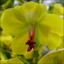 행복자리 이미지