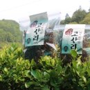 오동골1 이미지