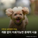 24시 코끼리동물의료센터 이미지