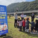 마필