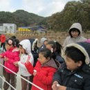 참샘웰빙어린이집 Daum카페