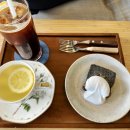 코우코알라 이미지