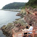 (테마투어)생태투어 이미지