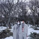 서귀포섬이야기펜션 이미지