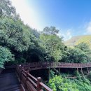예산읍043 네이버블로그
