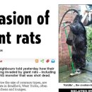 영국마을 이미지