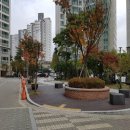 용곡삼성쉐르빌아파트 이미지