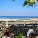 제주 서귀포 벨루아 이미지