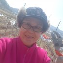 태송농장 이미지