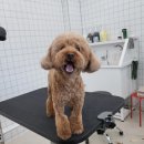 거창미용실