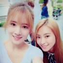 엑시 카카오 검색결과