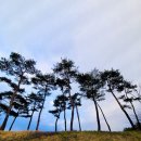 화순 하니움문화스포츠센터 체육관 | 하니움 화순문화스포츠센터