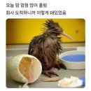 S투어 이미지