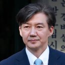 자유벌레