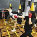 MADE BOXING 이미지