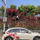 강남시장(개방) 이미지