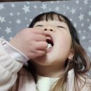 다올목장 이미지