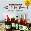 처음매실