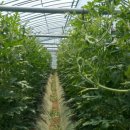 농부의 열매 이미지