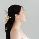데이그래피 이미지