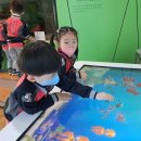 오치카리타스어린이집 이미지