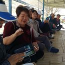화정농산