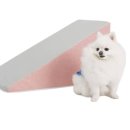 핑크퍼피 이미지