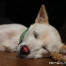 시골대청마루 이미지