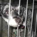 김정복동물병원 이미지