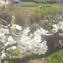 은한농장 이미지