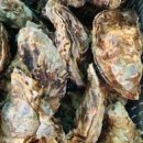 순애민박 이미지