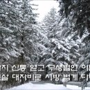 이산 혜연선사 발원문, 주봉스님 독경 이미지