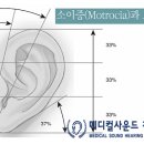 소이메디칼 이미지