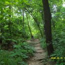 영수한우농장 이미지