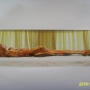 미녀손톱 이미지