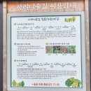 사려니숲길주차장 이미지