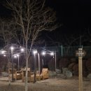 CW-1348-01 | 경기 남양주 【아도록】 반려동물 동반카페, 딸기디저트, 방문후기,내돈내산, 솔직후기