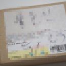푸쉬푸쉬(합성점) | 두피 영양제 에브리톡톡 헤어 토닉 으로 탈모 예방