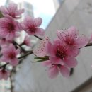 마카롱 노래연습장 이미지