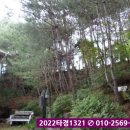 강림면358 이미지