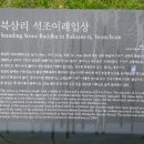 북삼리 석조여래입상 이미지