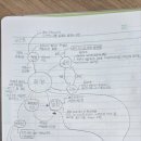 더이루다에듀학원 - 30941 | 더이루다에듀학원