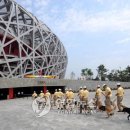 stadium of dogs 이미지