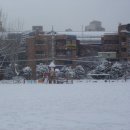 옥정초등학교 이미지