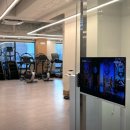 네스트짐 헬스피티 이미지