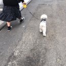 도봉-도봉-서울도봉-2241 이미지