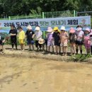 모내기 - 포천시 군내면 | 모내기