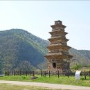 영양 산해리 오층모전석탑 이미지