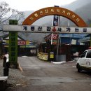 금잔디식당 이미지