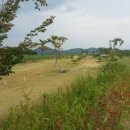 병성천 파크골프장 이미지